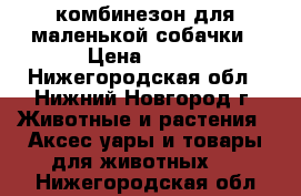 комбинезон для маленькой собачки › Цена ­ 800 - Нижегородская обл., Нижний Новгород г. Животные и растения » Аксесcуары и товары для животных   . Нижегородская обл.